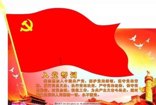 寻找火鸡